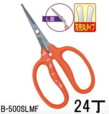 (24丁仕掛ける特価) (判定基準荷拵え) 近正 B-500SLMF ステンレス鋼 フッ素製作 ぶどう取りつくろう鋏 刃先丸印字機 (L型・刃先丸) チカマサ (ネコポス2個orヤマト) (zmA70)