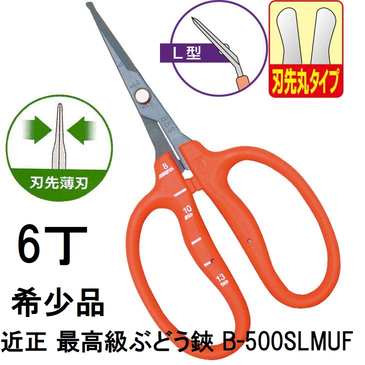 (6本仕掛ける特価) (最御前上等 滅多に無い品) 近正 ぶどう鋏 B-500SLMUF L型 曲刃 ステンレス鋼・フッ素産業 刃先丸手合い 刃先薄刃 ぶどう取りつくろう鋏 目盛付き添い人 チカマサ (ゆうパケット)