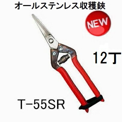 (12丁仕掛ける特価) 近正 プロ用ステンレス鋼 穫りいれる鋏 曲刃 T-55SR チカマサ (zmA70)