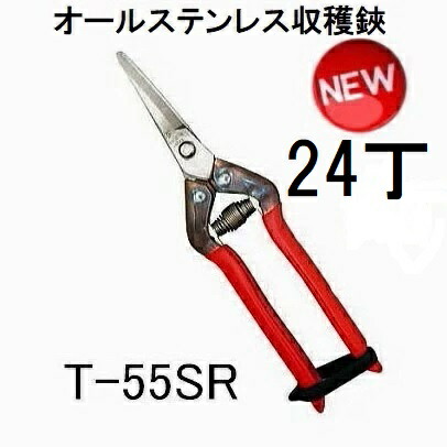 (24丁仕掛ける大特価) 近正 プロ用ステンレス鋼 穫りいれる鋏 曲刃 T-55SR チカマサ (zmA70)