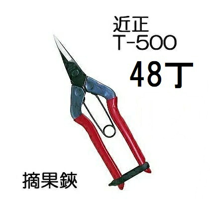 (48丁仕掛ける大特価) (判定基準荷拵え) 近正 虚抜く鋏 T-500 チカマサ (zmA21)