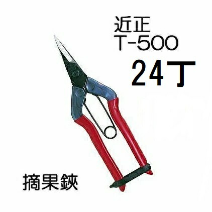 (24丁書き割り特価) (判定基準荷拵え) 近正 虚抜く鋏 T-500 チカマサ (zmA21)