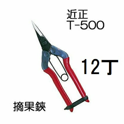 (徳用12丁書き割り) (判定基準荷拵え) 近正 虚抜く鋏 T-500 チカマサ (ネコポス2個) (zmA21)