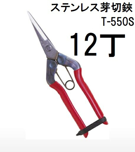 (12丁セット特価) 近正 ステンレス 芽切鋏 T-550S 本職園芸用 チカマサ　(zmA70)