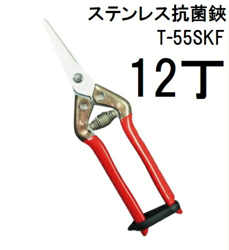 圧倒的人気 最短翌日お届け MZW6Y5AYJ6C 型番:MZW6Y5AYJ6C