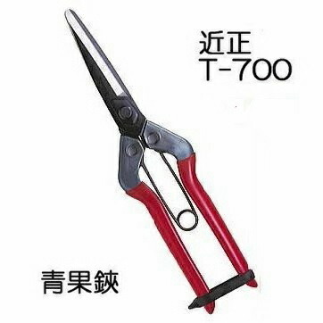 近正　摘果鋏　【25本セット】　チカマサ t7.jpg