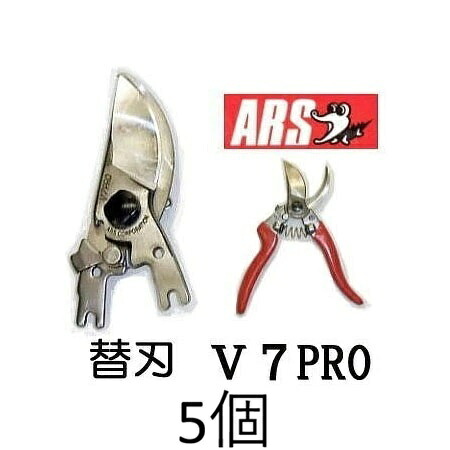 (徳用5丁仕掛ける) ARS (アルス) 切り下げる鋏 替刃 V-7PRO用 ブイセブンプロ V-7PRO-1 (ネコポス) (zmA60）