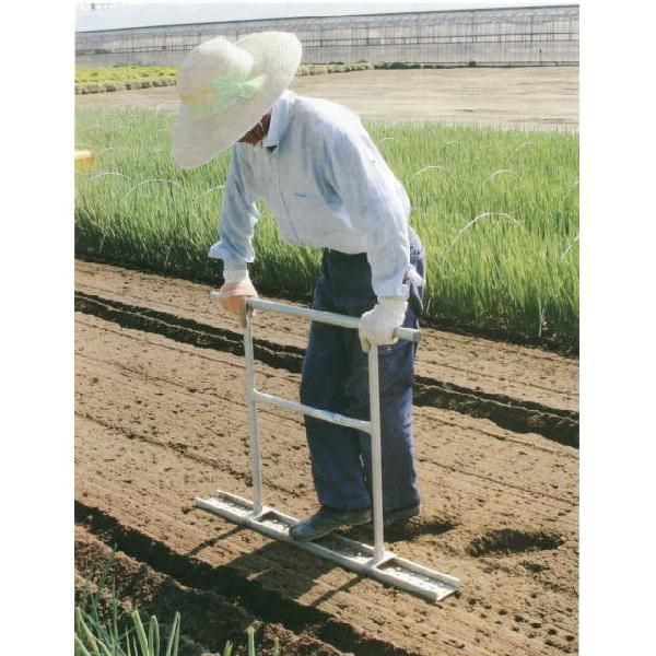 楽天市場】ハラックス 【長ネギ定植用穴あけ器】ネギロケット N-130K