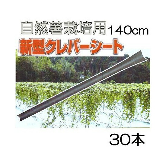 楽天市場】(10本セット) 自然薯栽培器 クレバーパイプ 135cm 自然薯用