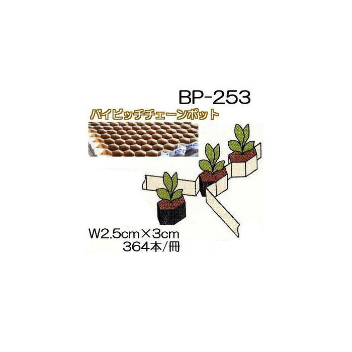 (150冊入) ニッテン バイピッチ チェーンポット BP253 364本付 ペーパーポット BP-253 日本甜菜製糖 |法人・個人事業者向け