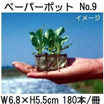 (110冊入) ニッテン ペーパーポット No.9 (T-3) 180本付 レタス、はくさい、キャベツ、ブロッコリー、スイカに 日本甜菜製糖 |法人・個人事業者向け