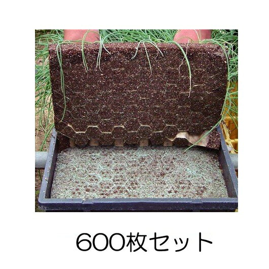 ( 6 0 0 枚 セ ット ) ネトマール2 根止用育苗下紙 (ペーパーポット用) 277mm×577mm (300枚入×2ケース) ニッテン ネトマールII 日本甜菜製糖 |法人・個人事業者向け