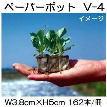 (200冊入) ニッテン 調査報告ポット V-4 162本付 \u003cBR\u003e萵苣、カーネーション、サラダナ、枝豆に 日本甜菜製糖 |法人・人間商行為者向け