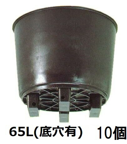 (10個セット) 果樹栽培用大型ポット サンポット 65L 底穴有 サンポリ (法人/個人 選択)|瀧商店