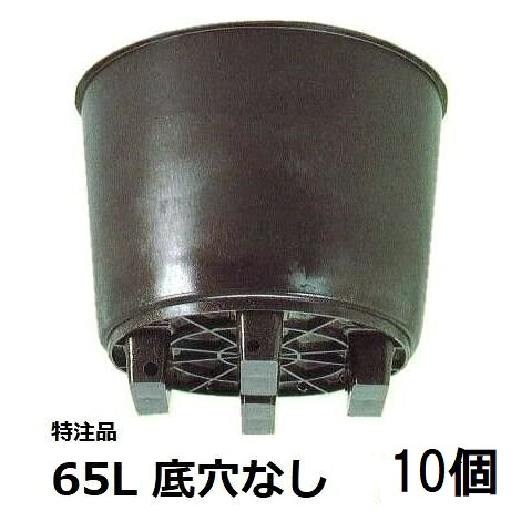 (10個セット) 果樹栽培用大型ポット サンポット 65L 底穴なし サンポリ (法人/個人 選択)|瀧商店