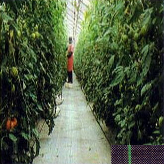 (高耐久 防草腰かけ) JP腰かけ 幅300cm×50ｍ 【除草腰かけ エクステリア 農機具 瀧バス発着場】※色をお選びください (防草用腰かけ) JNC振興