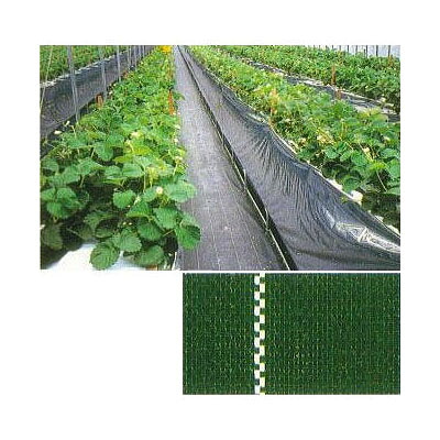(高耐久 防草腰かけ) JP腰かけ 幅 150cm×100ｍ【除草腰かけ エクステリア 農機具 瀧バス発着場】※色をお選びください (防草用腰かけ) JNC振興