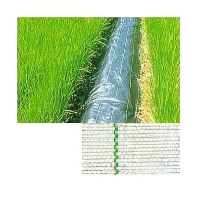 (高耐久 防草シート) JPシート 幅200cm×100ｍ 【除草シート エクステリア 農機具 瀧商店】※色をお選びください (防草用シート) JNC開発