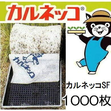 (1000枚セット) カルネッコ SF 28cm×58cm 育苗用下敷紙 三菱ケミカルアグリドリーム MKVアドバンス　saka