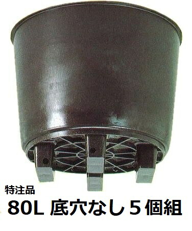 (5個セット) 果樹栽培用大型ポット サンポット 80L 底穴なし サンポリ (法人/個人 選択)|瀧商店