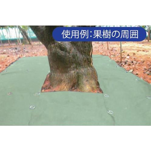 草おさえ #135 緑 幅3.5ｍ×25ｍ巻 耐用年数：約8年 (雑草押さえ付ける 高こっ酷い 高耐久 法面 畔 生り木園に 草おさえ居敷き) 日本の首都戸張 その他-花・ガーデン・DIY-DIY・工具