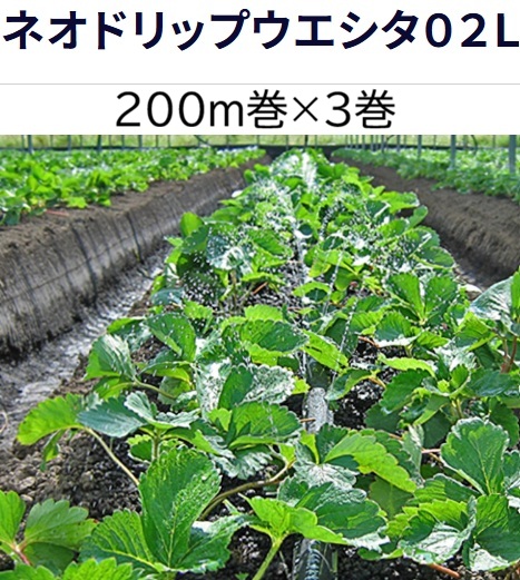 (200m×3巻書き割り特価) ネオドリップ ウエシタ 02L 200m巻×3 (上)7.5糎チドリ (下)15糎チドリ WB9004 住化稼穡原材料 (人間宅へは取寄送りとどける)