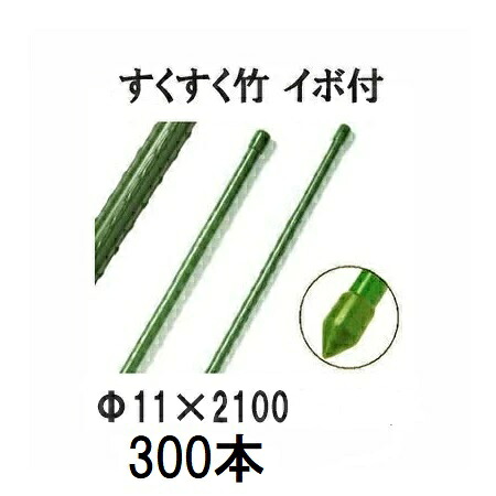 (徳用300本セット) すくすく竹 イボ付 φ11mm×2100mm 農業用支柱 イボ竹 11×2100mm 第一ビニール (個人宅配送不可 法人個人選択) [農機具、園芸用品、瀧商店]