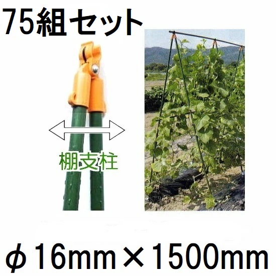 (25組&times;3セット) つるもの用 棚支柱16&times;1500mm (75組セット) 16mm&times;1500mm 第一ビニール (個人宅配送不可)｜瀧商店
