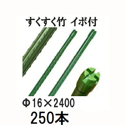 (250本セット) すくすく竹 イボ付 φ16mm×2400mm 十字キャップ 農業用支柱 イボ竹 16×2400mm 第一ビニール (個人宅配送不可)|瀧商店