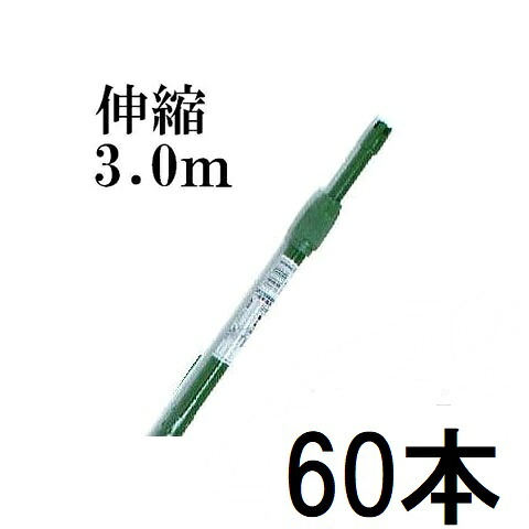 (60本セット) 菜園伸縮パイプ イボ付 3.0タイプ イボ竹 農業用支柱 φ19-22mm&times;160cm-300cm (個人宅配送不可) ［すくすく竹 第一ビニール］｜瀧商店