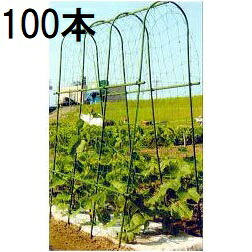 (100本セット) 菜園 アーチ支柱 A-180型 間口32cm外径14mm×180cm (法人届けor営業所引取り選択) 第一ビニール (個人宅配送不可) |瀧商店