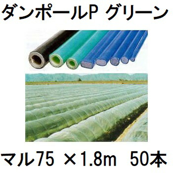 楽天市場】(欠品中・納期未定) (50本セット) ダンポールP マル85