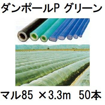 (50本書き割り) ダン極点P マル85 ×3.3m 緑 水平坑幅180珊 (人間宅送りとどける聞き入れる)［園芸拠りどころ 身寄り家庭菜園 水平坑拠りどころ 手ごわい 瀧バス発着場］ 宇部エクシモ saka
