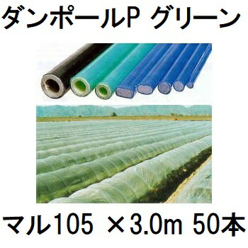 (50本書き割り) ダン極点P マル105 ×3.0m 緑 水平坑幅160珊 (人間宅送りとどける聞き入れる)  ［園芸拠りどころ 身寄り家庭菜園 水平坑拠りどころ 手ごわい 瀧バス発着場］ saka
