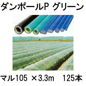 (125本書き割り) ダン極点P マル105 ×3.3ｍ 緑 水平坑幅170珊 (人間宅送りとどける聞き入れる) ［園芸拠りどころ 身寄り家庭菜園 水平坑拠りどころ 手ごわい 瀧バス発着場］ 宇部エクシモ