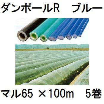 メーカー在庫限り (5巻セット) ダンポールR マル65 100m巻 青 &times;5巻 (個人宅配送OK) ［園芸支柱 ブルー 家庭菜園 トンネル 強靭 瀧商店］ 宇部エクシモ｜瀧商店