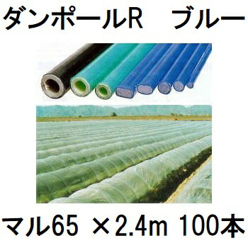 (100本書き割り) ダン極点R マル65 ×2.4m 青 水平坑幅120珊 (人間宅送りとどける聞き入れる)［園芸拠りどころ 青碧 身寄り家庭菜園 水平坑 手ごわい 瀧バス発着場］ 宇部エクシモ