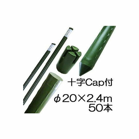 (50本書き割り) 園芸突っ支い棒 (十字旗がしら付) イボ付 鋼管竹 φ20mm×2.4m 稼穡用 イボ竹 シンセイ 20×2400粍 (人間宅送不可)