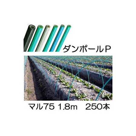 (徳用250本セット) ダンポールP マル75 &times;1.8m 緑 トンネル幅90cm (個人宅配送OK) ［トンネル支柱 アーチ支柱］ 宇部エクシモ｜瀧商店