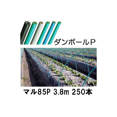 楽天市場 ダンポールp マル85 3 8ｍ 緑 トンネル幅180cm 徳用 250本 トンネル支柱 アーチ支柱 宇部エクシモ 瀧商店