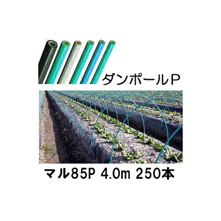 (徳用250本セット) ダンポールP マル85 &times;4.0m 緑 トンネル幅180cm (個人宅配送OK)［トンネル支柱 アーチ支柱］ 宇部エクシモ｜瀧商店