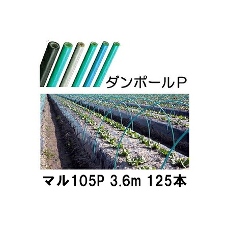 (徳用125本セット) ダンポールP マル105 ×3.6m 緑 トンネル幅200cm (個人宅配送OK) ［トンネル支柱 アーチ支柱］ 宇部エクシモ
