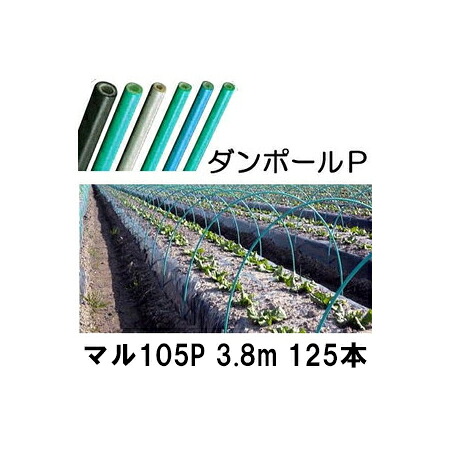 (徳用125本セット) ダンポールP マル105 &times;3.8m 緑 トンネル幅200cm (個人宅配送OK) ［トンネル支柱 アーチ支柱］ 宇部エクシモ｜瀧商店