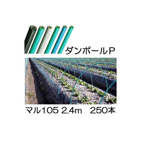 (徳用250本セット) ダンポールP マル105 &times;2.4m 緑 トンネル幅120cm (個人宅配送OK) ［トンネル支柱 アーチ支柱］ 宇部エクシモ｜瀧商店