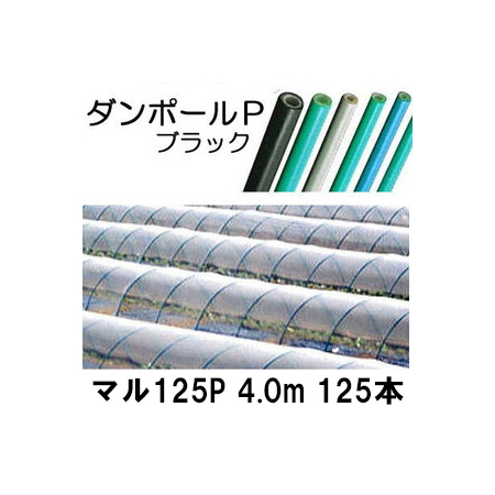 楽天市場 ダンポールp マル125 4 0ｍ 黒 トンネル幅250cm 徳用 125本 トンネル支柱 アーチ支柱 瀧商店