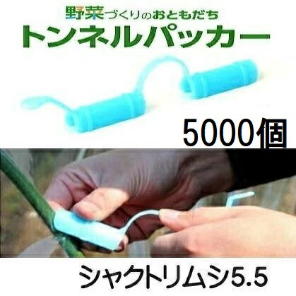 (容れもの売 5000個書き割り) 水平坑パッカー シャクトリムシ5.5 5.5mm×97粍 安全性のある・持ちこたえる 日本製