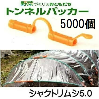 (入れもの売 5000個仕掛ける) 水平坑パッカー シャクトリムシ5.0 5mm×97粍 安全性のある・持ちこたえる 日本製