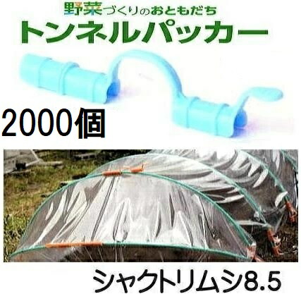(容れもの売 2000個書き割り) 水平坑パッカー シャクトリムシ8.5 8.5mm×138粍 青碧 安全性のある・持ちこたえる 日本製