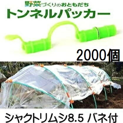 (容れもの売 2000個書き割り) 水平坑パッカー シャクトリムシ8.5 弾機付き添い人 8.5mm×138粍 安全性のある・持ちこたえる 日本製
