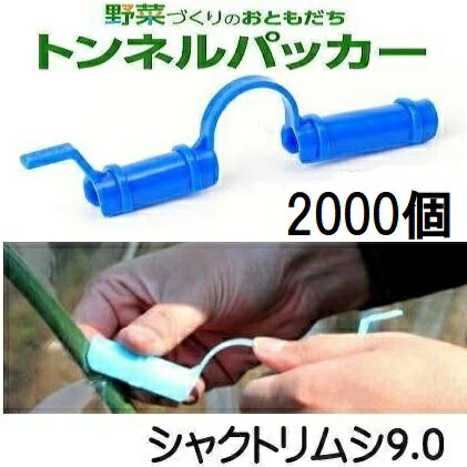 (容れもの売 2000個書き割り) 水平坑パッカー シャクトリムシ9.0 9mm×138粍 暗然たる青碧 安全性のある・持ちこたえる 日本製